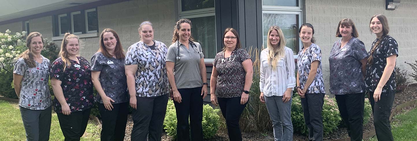 Sun Prairie veterinarians