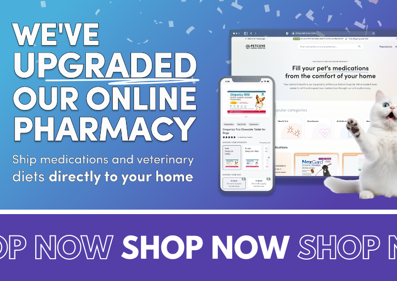 Carousel Slide 2: Shop our online pharmacy and store!